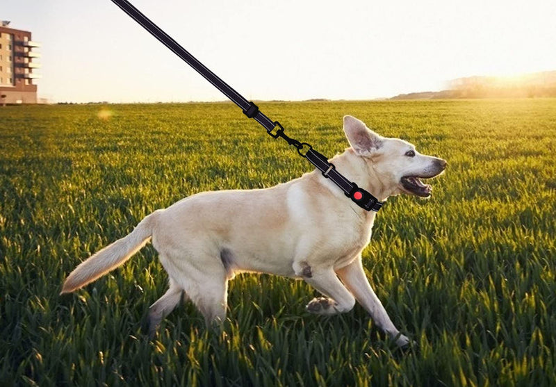 Martingale Dog Collar and Leash Set Martingale Collars for Dogs Reflective Martingale Collar for Small Medium Large Dogs(Black&M) M Black - PawsPlanet Australia