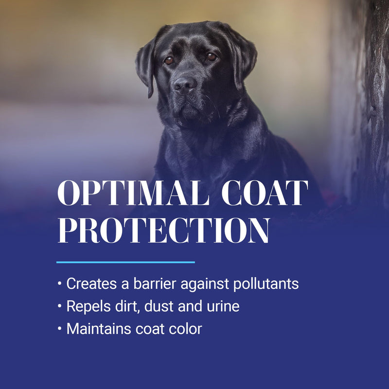 Chris Christensen Ice on Ice Ultra Conditioning Dematting Spray, Dog Conditioner, Groom Like a Professional, Lightweight Formula, Dematts & Detangles, Conditions & Protects, Made in the USA, 13.2oz - PawsPlanet Australia