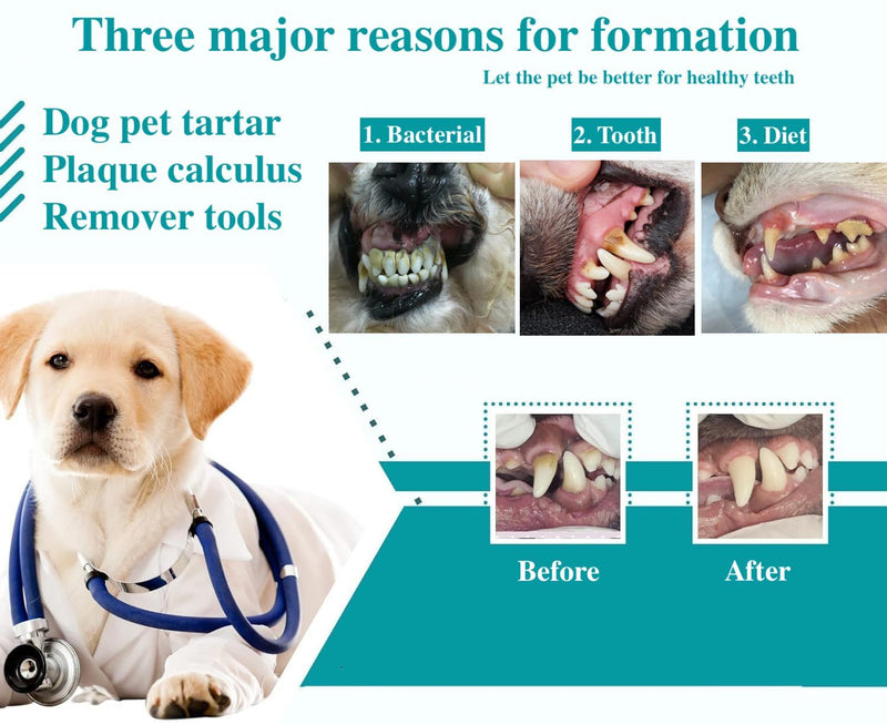 8 Pcs Dog Tartar Remover Pet Teeth Cleaning Tool, Cat Plaque Off Calculus Remover, Dog Tooth Scaler and Scraper, Stainless Steel Dental Forceps for Dogs and Cats Oral Care - PawsPlanet Australia