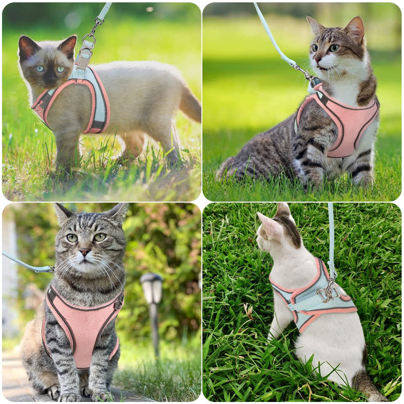 ORIA Pet Harness, Dog Harness, Cat Harness and Leash Set, Breathable Pet Vest, Reflective Strips Jacket for Small Kitten, Puppy, Rabbit, Pink and Blue, 4.4 to 6.6lb XX-Small - PawsPlanet Australia