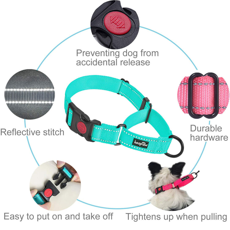 2 Packs Martingale Dog Collar with Quick Release Buckle Reflective Dog Training Collars for Small Medium Large Dogs L-Martingale collar Turquoise, Martingale Collar+Leash