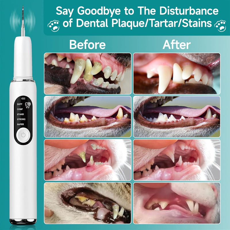 Dog Teeth Cleaning Kit Dog Plaque and Tartar Remover with LED Light 5 Adjustable Modes Electric Toothbrush Pet Teeth Cleaner for Dogs and Cats (Off-White) Off-white