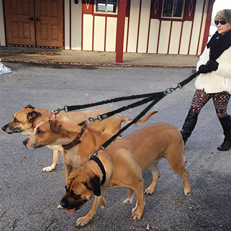 Nylon Dog Leash Coupler 3 Way No-Pull Pet Dog Lead Leashes No Tangle Bungee Three Dogs Leads Black L - PawsPlanet Australia