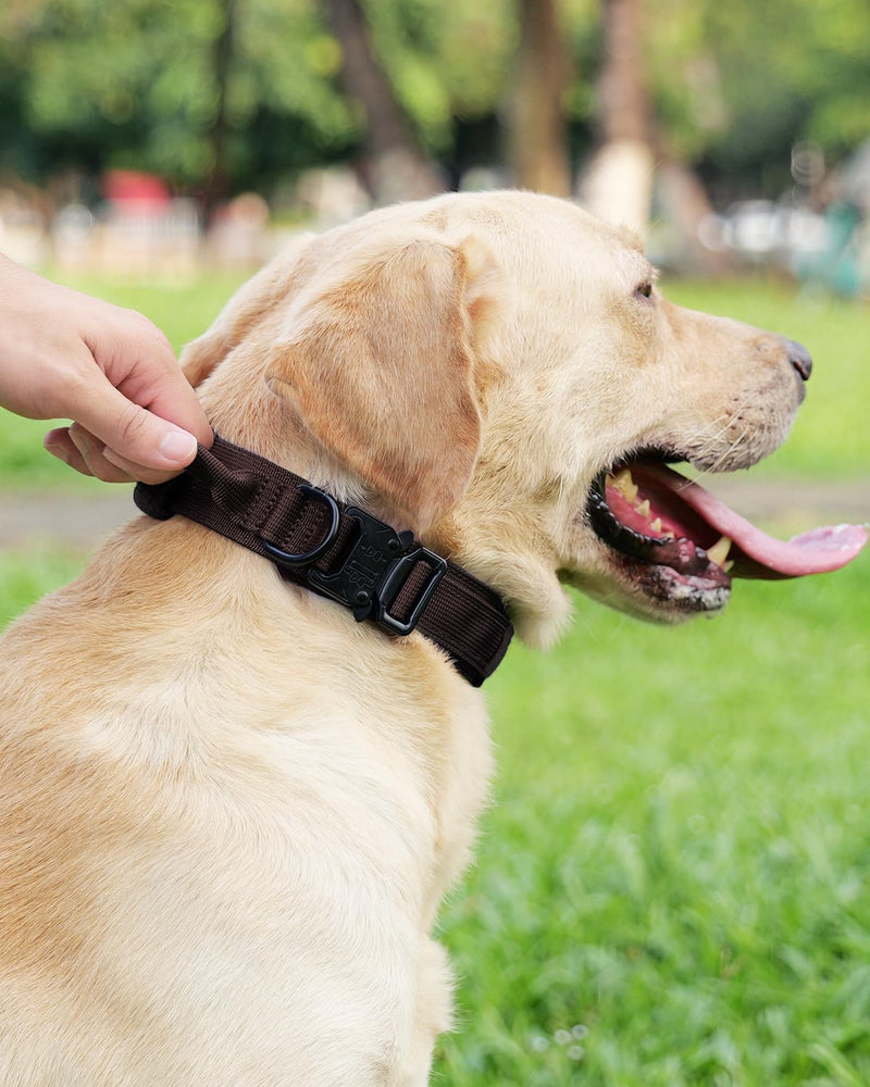 Joytale Tactical Dog Collar(17"-21") and Dog Leash Set, Shock Absorbing Bungee Dog Leash and Adjustable Strong Dog Collar with Handle for Large Dogs(Brown, L) - PawsPlanet Australia