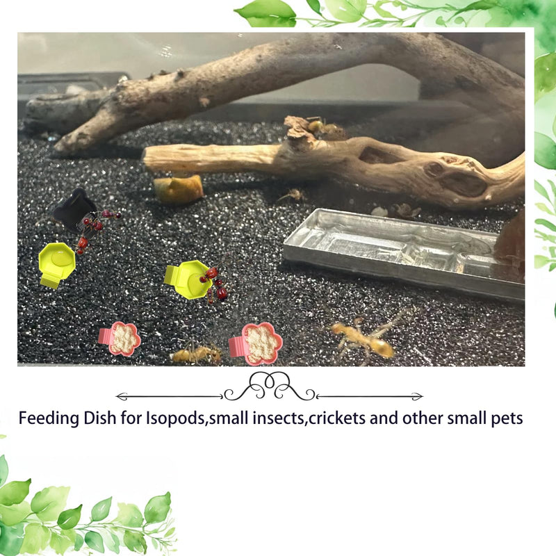 10 PCS Isopod Feeder Dish,Isopods Feeder Bowls,Food Tray for Isopods Springtails Feeding Dish with Ramp - PawsPlanet Australia
