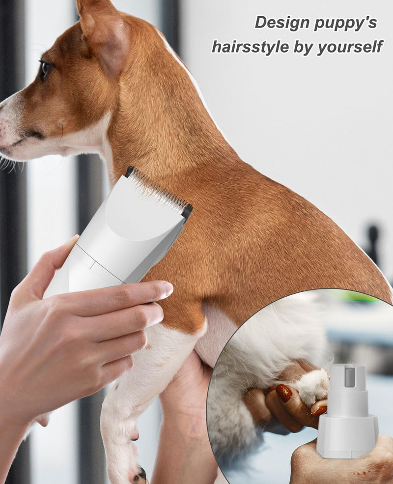 Small Dog Electric Clippers for Grooming Cordless Low Noise for Trimming Pet's Hair 4 in 1 Quiet Cordless Small Dog Paw Trimmer Nail Grinder Shaver for Small Pets - PawsPlanet Australia
