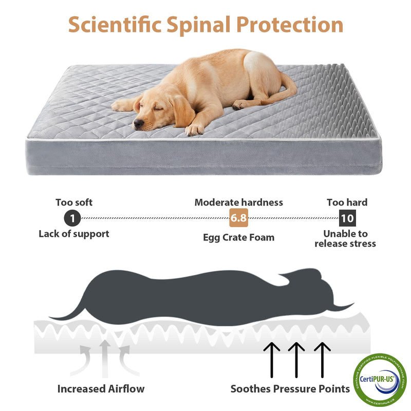 WNPETHOME Orthopedic Waterproof Extra Large Dogs Bed with Removable Washable Cover, Multi-Needle Quilting XL Crate Bed for Large Sized Dog, Light Grey 42"L x 30"W x 4"Th - PawsPlanet Australia
