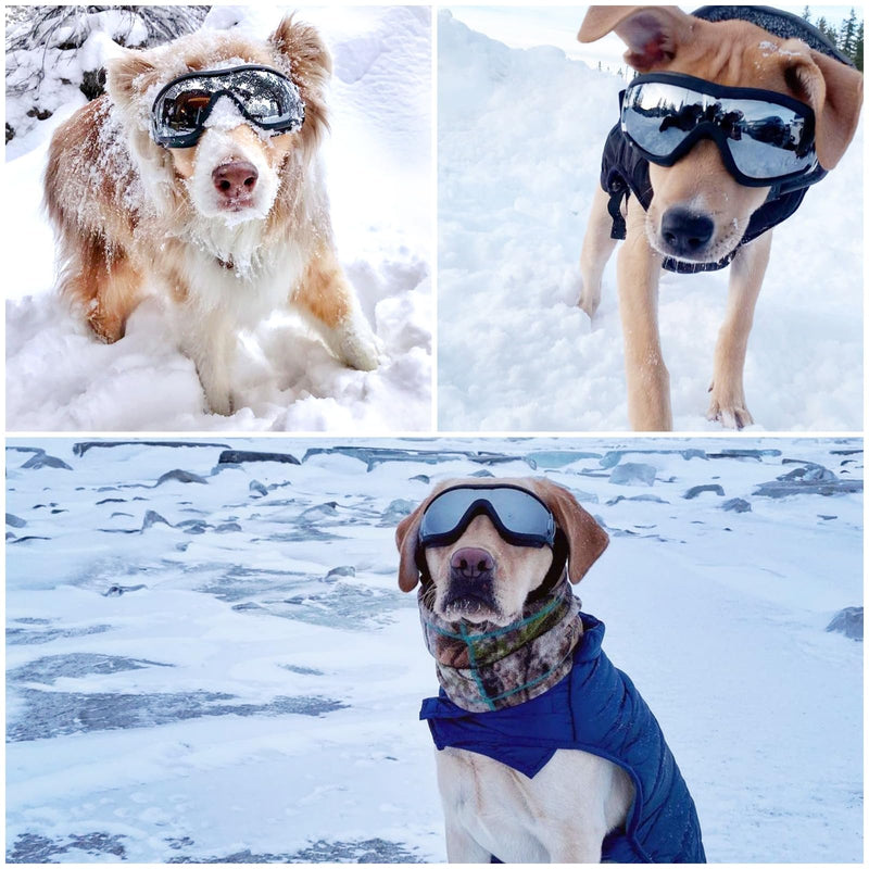 NAMSAN 2 Pair of Dog Goggles, Clear/Black, UV Protection Dog Sunglasses for Medium to Large Dogs, Windproof Driving Dog Eye Protection, Dog Glasses with Elastic Straps, Adjustable 2PCS(Large) - PawsPlanet Australia