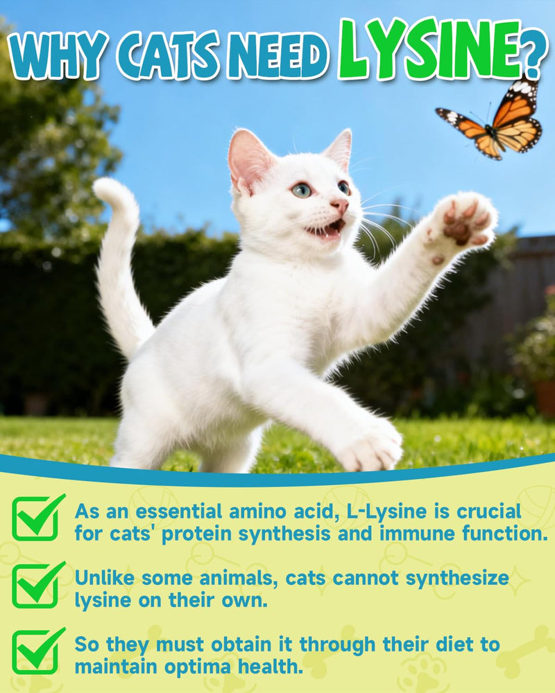 L-Lysine for Cats,Lysine Drops Immune Support Supplement,Sneezing,Cold,Allergy Relief,Runny Nose,Feline Respiratory,Natural Antibiotics for Cats with Colostrum,Taurine Cat(Roast Chicken Flavor/2floz)