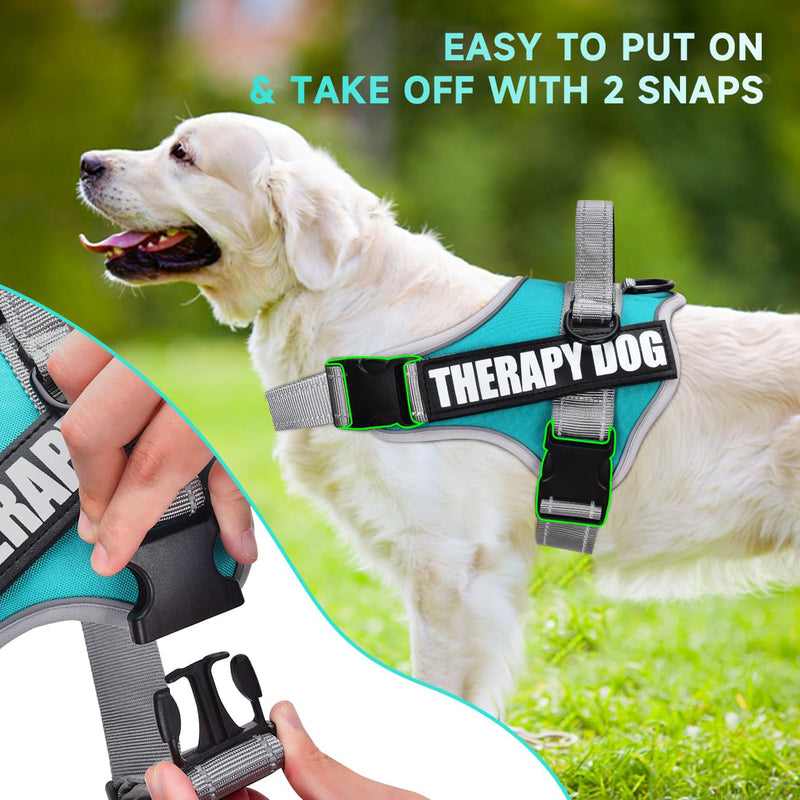 Dog Vest Harness and Leash Set, Animire Reflective Service Dog Vest with 10 Patches, 3 Rings No Choke Pet Vest for Leash Placement, in Training Dog Harness for Small Medium Large Dogs(Teal,XL) X-Large(Chest: 23.5-34.5 Inch) Teal - PawsPlanet Australia