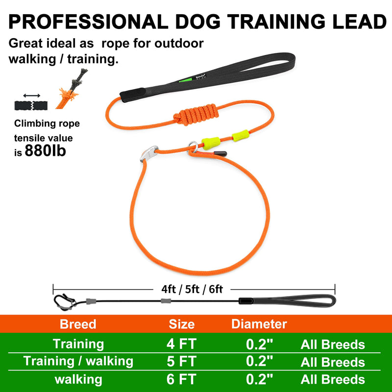 ?BeauGo| Slip Lead Dog Leash|Dog Training Leash,No Pull Training Lead,2-in-1Dog Lead & Collar,Strong Heavy Duty Braided,Professional Trainer Rope for Small Medium Large Dogs.Slip Leads for Dogs 5 FT Training(5ft*1.5M Long? ORANGE - PawsPlanet Australia
