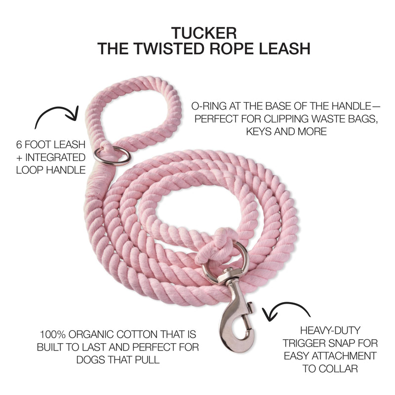 Tucker II – The Heavy Duty 6 ft Twisted Rope Cotton Durable Leashes Dogs, Pink, One Size - PawsPlanet Australia