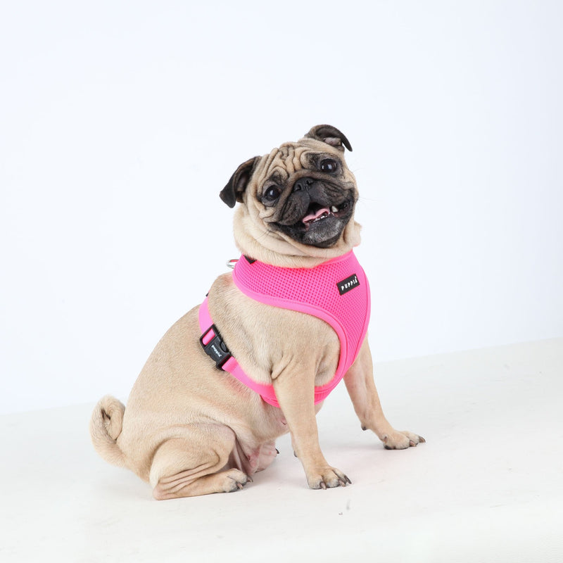 Puppia Neon Dog Harness Over-The-Head No Choke No Pull Walking Training for Small and Medium Dog, Pink, Small - PawsPlanet Australia