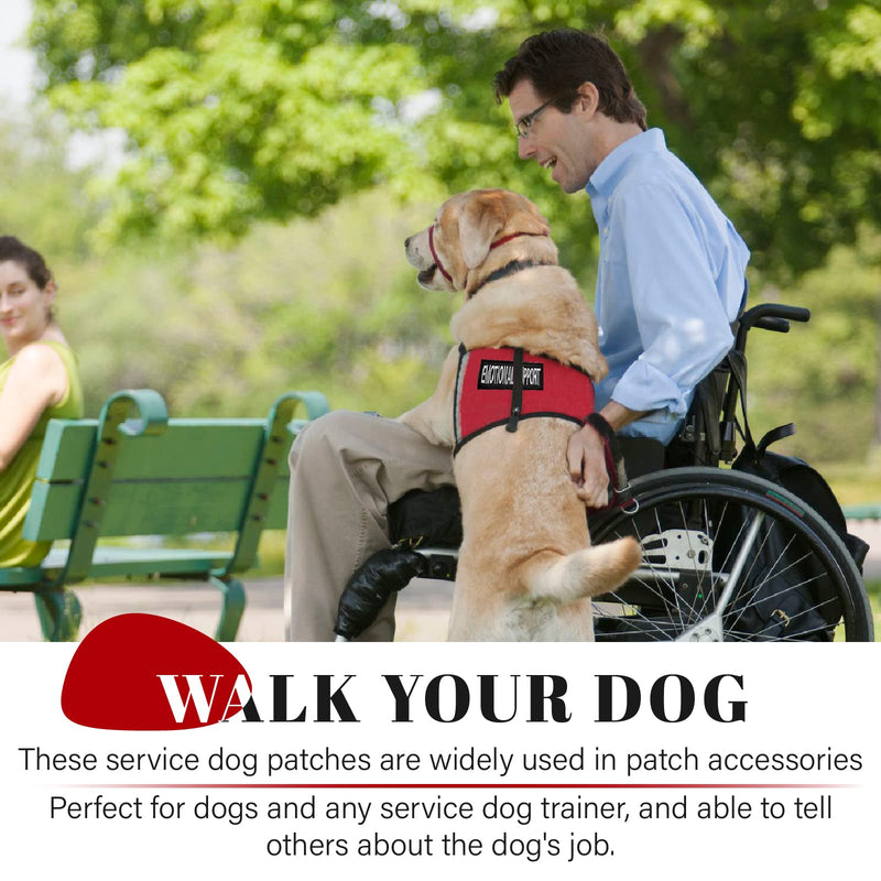 2Pack Service Dog Patches - Removable Patches with Hook Backing for Dog Harness & Vest, in Training, Black S - PawsPlanet Australia