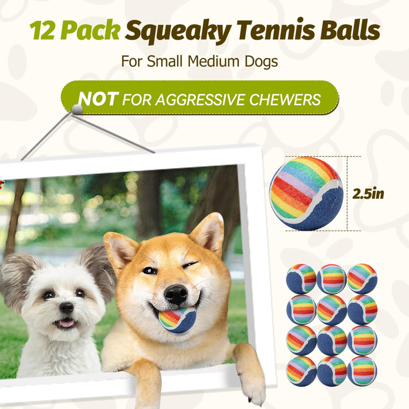 Nobleza Squeaky Tennis Balls for Dogs, 12 Pack 2.5“ Floatable Dog Tennis Balls for Small Medium Dogs, Training Safe Natural Rubber Dog Toys Balls for Dogs to Fetch Exercise, Rainbow - PawsPlanet Australia