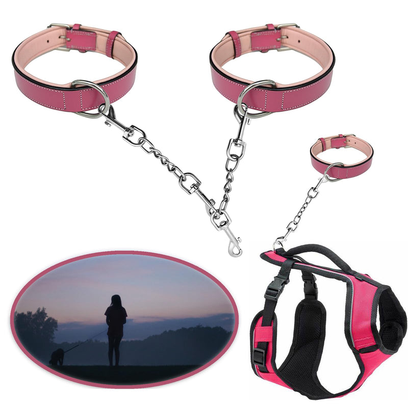 Dog Collar Safety Clip Metal Clasp Double Ended Connector 2 Pack Prong Chew Proof Backup Dog Clip for Pet Harness Collar Leash Necklaces Dog Strap Lead Carabiner Heavy-Duty Chain 8 inch - PawsPlanet Australia
