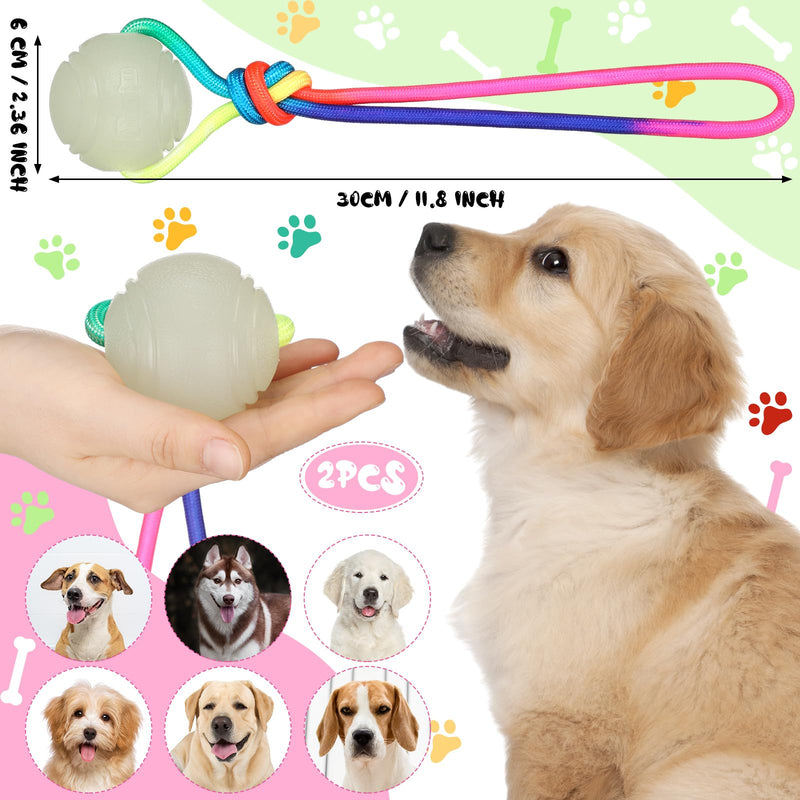 2 Pcs Glow in The Dark Dog Training Ball on Rope 2.36 Inch 12 Inch Rope Glowing Rubber Dog Toys Dog Pull Tug Throw Toys with Handle Reward Fetch Exercise Ball for Small Large Medium Dogs - PawsPlanet Australia