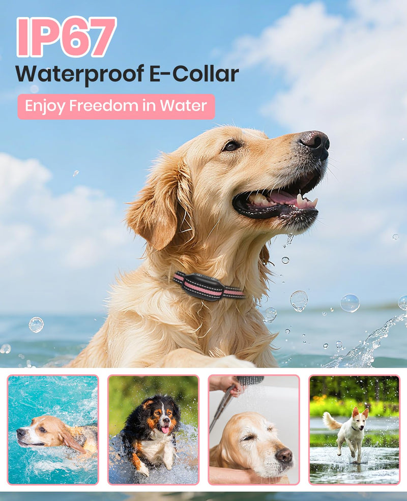 2 Dogs Bark Collar with Remote, 2-in-1 Bark and Shock Collar Combo, 3300Ft Dog Training Collar 2 Pack - Auto Anti Bark/Beep/Vibration/Shock, IP67 Smart E-Collar with 5 Adjustable Levels of Sensitivity Black+Pink - PawsPlanet Australia