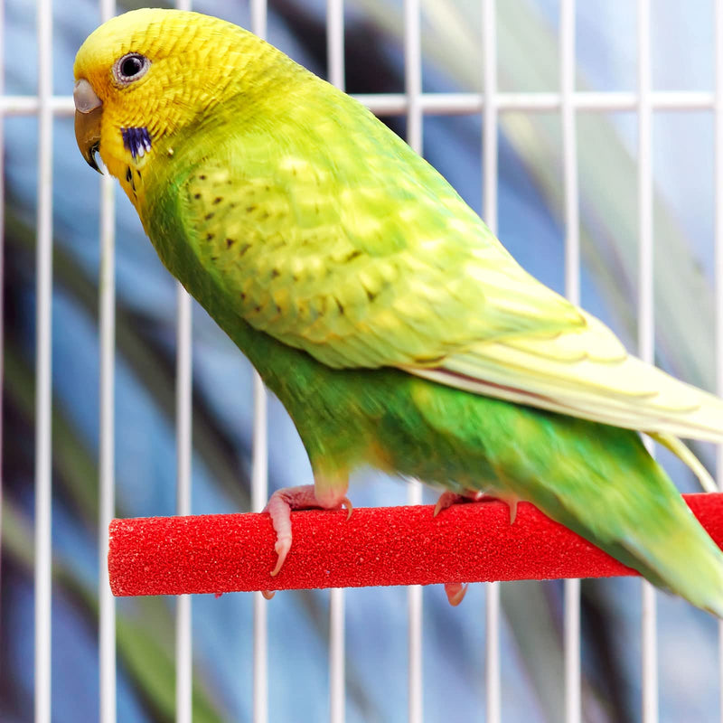10 Pieces Bird Perch Stand Parrot Stand Paw Grinding Stick Parrot Perch Rough Surfaced Bird Cage Stand Colorful Wooden Parakeet Perch Toys for Cockatiels Cage Accessories