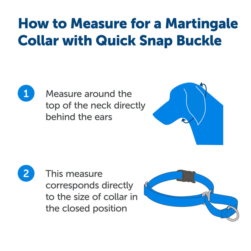 PetSafe Adjustable Martingale Collar - Improves Leash Manners - Escape Prevention - Gentle Behavior Training - Durable Nylon - Alternative to Choke Collar - Medium 3/4" - Black - PawsPlanet Australia