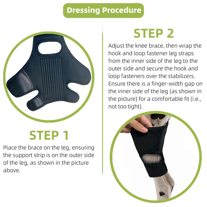 Dog Leg Braces for Back Leg- Dog ACL Brace for Torn and Back Hind Rear Legs ACL Tear, Dog Leg Brace for Hip Dysplasia, Dog Arthritis, Luxating Patella(Size L)