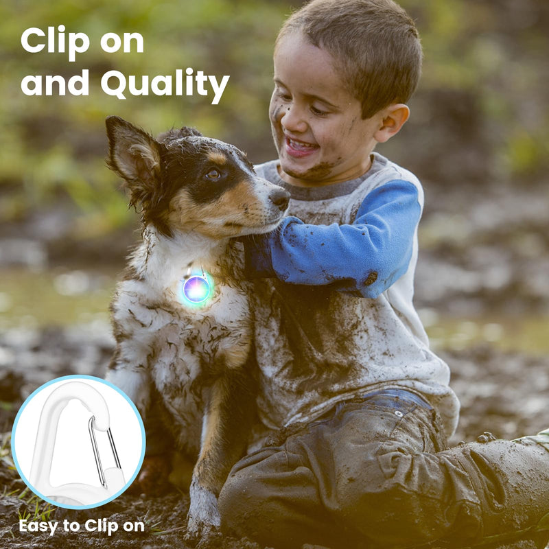 2Pack Dog Lights for Night Walking Dog Collar Light Clip on Glow in The Dark with 4Modes & RGB Color for Camping - PawsPlanet Australia