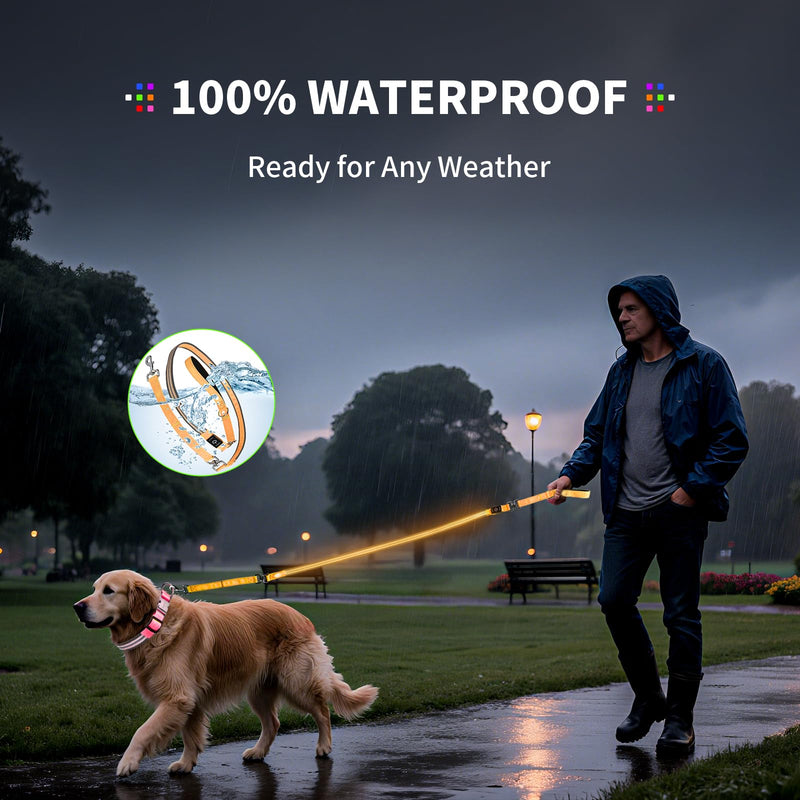 PetIsay Night Walking LED Dog Leash - 6FT Reflective & Waterproof Light Up Safety Leashes for Dogs - USB Rechargeable, Orange 6 feet Orange(Fiber optic version) - PawsPlanet Australia