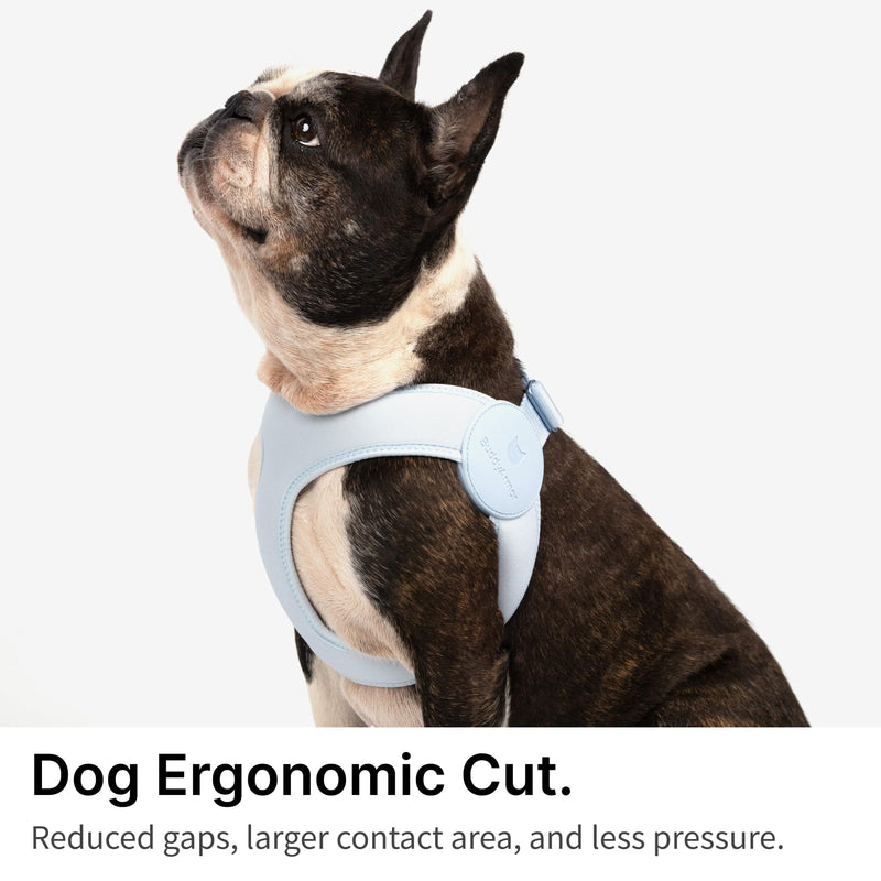 Ultra Comfortable Dog Harness Adjustable Soft Dog Vest, Alloy Buckle Closure Lightweight Stretchy Puppy Harness Step in for Small Sized Dogs Walking Training (Linen, XXS 11.8-12.6") Linen XXS 11.8-12.6" - PawsPlanet Australia