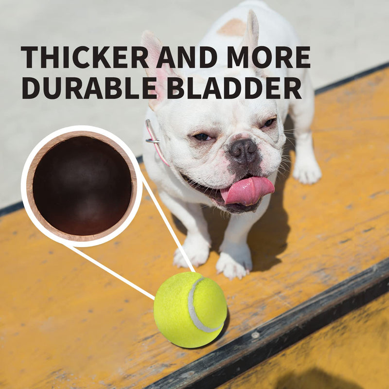 ALL FOR PAWS Ball Launcher Dog Ball Pet Throwing Toy Mini Tennis Balls for Dogs (Mini Ball 2.5 inch) 2.5 inch *6 - PawsPlanet Australia