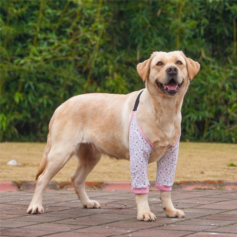 Dog Elbow Protector, Elbow Sleeves with Mesh Pad for Medium Large Dogs Prevent Licking Wound(Pink Flower,XL) Pink Flower XL-Length 11'' Knee Girth <9.4'' - PawsPlanet Australia