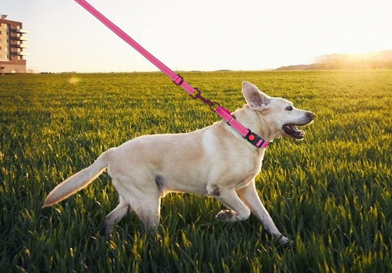 Martingale Dog Collar and Leash Set Martingale Collars for Dogs Reflective Martingale Collar for Small Medium Large Dogs(Hot Pink&L) L Hot Pink - PawsPlanet Australia
