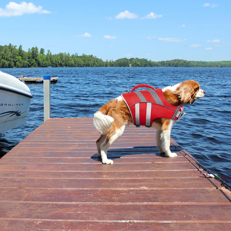 Kuoser Dog Life Jacket with Reflective Stripes, Adjustable High Visibility Dog Life Vest Ripstop Dog Lifesaver Pet Life Preserver with High Flotation Swimsuit for Small Medium and Large Dogs X-Large (Chest Girth:25.9-33.4'') 1#Red