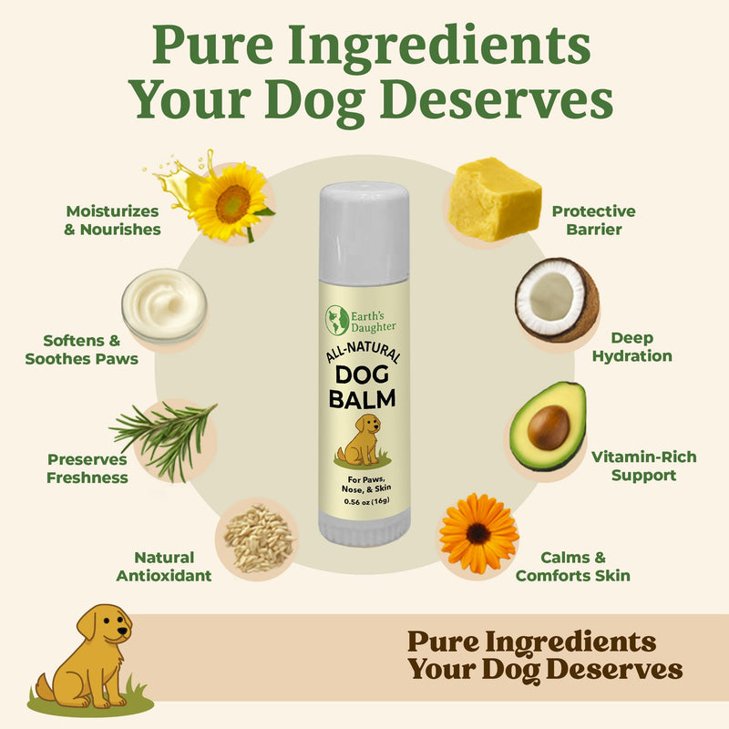 Earth’s Daughter Dog Paw Balm Big 0.56 oz – Organic Paw & Nose Protector with Beeswax, Coconut & Calendula – Itch Relief & Natural Skin Care for Dogs & Puppies – Travel Essential - PawsPlanet Australia