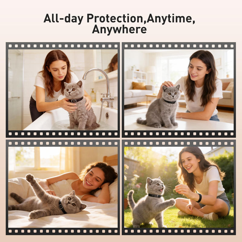 Flea and Tick Collar for Cats, 4 Pack Cat Flea Collar with Natural Essential Oils, Adjustable for All Cats & Kittens(Black)