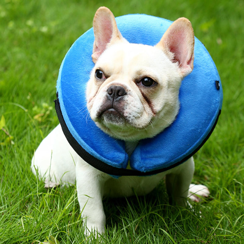 Inflatable Dog Collar - Pet Recovery and Protection Cover, Neck Collar After Surgery, Cone Alternative Blue M