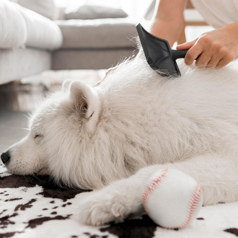 Pet Comb a Pin Comb Specifically Designed for Dogs Suitable for Medium to Long-Haired Dogs The Long Pins Can Remove Loose Hair Tangles and Knots Making It The Best Grooming Tool for Your Pet's Fur - PawsPlanet Australia