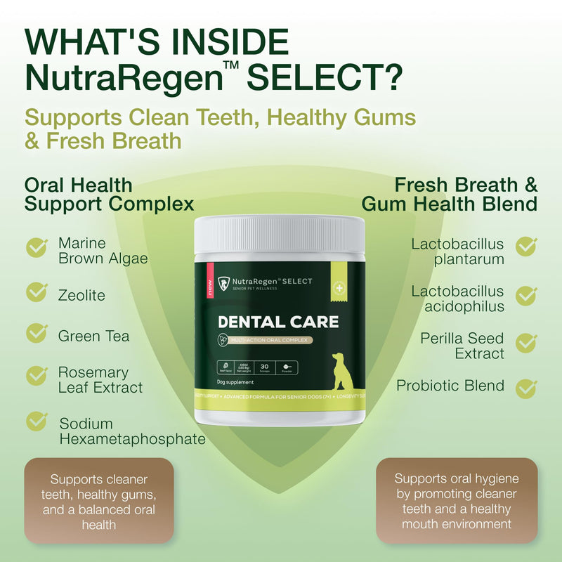 Nutraregen Senior Dog Dental Powder 30 Scoops | Beef Flavored Dog Breath Freshener with Probiotic Blend for Oral & Gum Health | Pet Dental Powder Helps Manage Plaque & Tartar Buildup | 4.6 Oz - PawsPlanet Australia