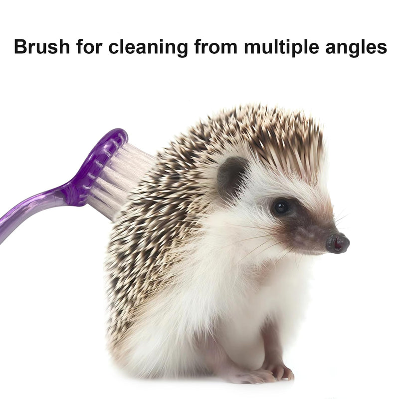 Hedgehog Bath Supplies Kit Hedgehog Bath Set Include Foldable Hedgehog Bathtub Cleaning Brush Nail Clippers Swimming Ring Towel for Small Animal - PawsPlanet Australia