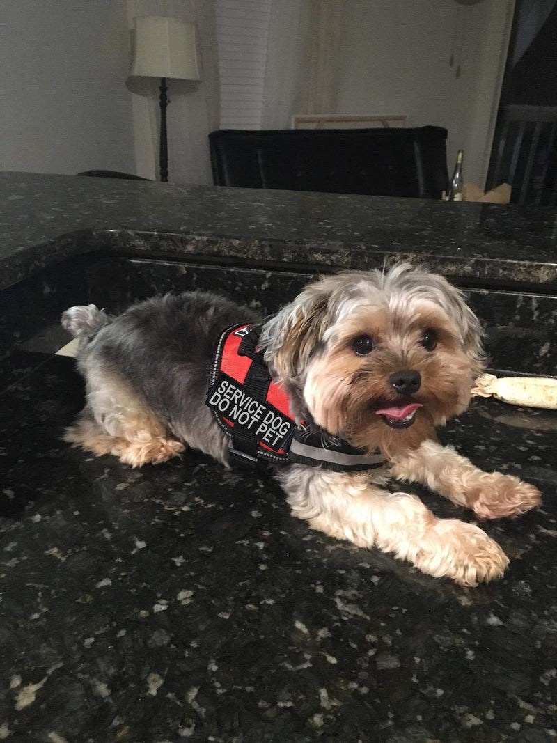 Doggie Stylz Service Dog Harness Vest Comes with 2 Reflective Service Dog DO NOT PET Removable Patches. Please Measure Dog Before Ordering (Girth 28-38", Red) Girth 28-38" - PawsPlanet Australia