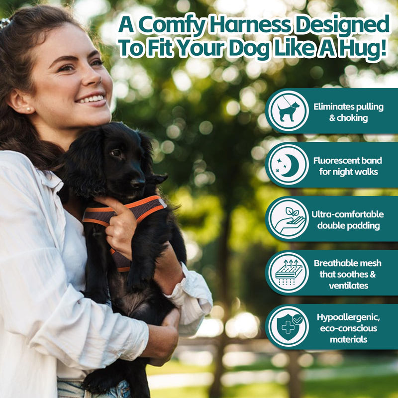 Dog Harness with Multifunction Dog Leash,No Pull Reflective Step-in Harness for Soft Adjustable No Choke Escape Proof,Easy Walk Dog Harness for Puppy,Small Dogs (Orange&Dark Grey, XS) Orange&Dark grey - PawsPlanet Australia