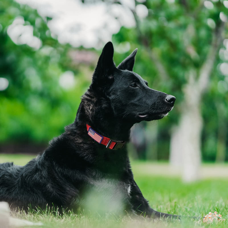 Martingale Collar for Training Dogs. Adjustable Reflective Collars with Buckle-USA Flag- NO Pull-Prevents Slipping Out, for Medium Large XL Dogs. Helps with Strong pullers (L, red) L - PawsPlanet Australia