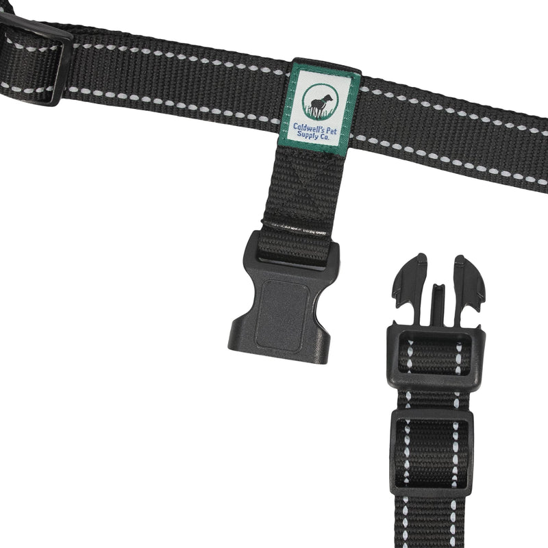 Running Leash for Dogs - Hands Free Dog Leash for Training, Hiking & Walking - Non Bungee for More Control - Around The Waist Dog Leash Belt for Small Medium or Large Dogs - PawsPlanet Australia