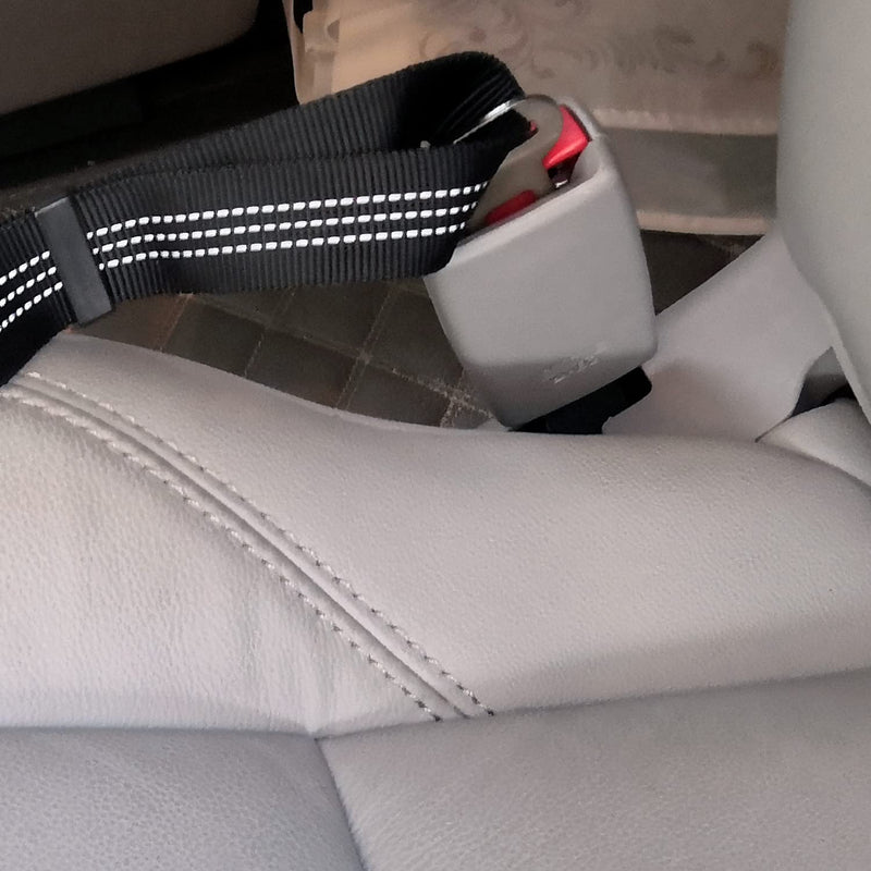 2 Dog Car Harness Seatbelt Seat Belt Leash Travel Accessories Bungee Anti Shock Pet Cat Adjustable Lead Clip Safety Seats Belts Grey 2 Packs - PawsPlanet Australia