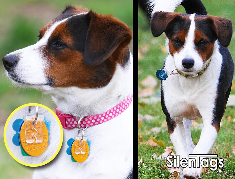 Pet Tag Silencer Clip It On, Jingle's Gone! -Clear Clear - PawsPlanet Australia