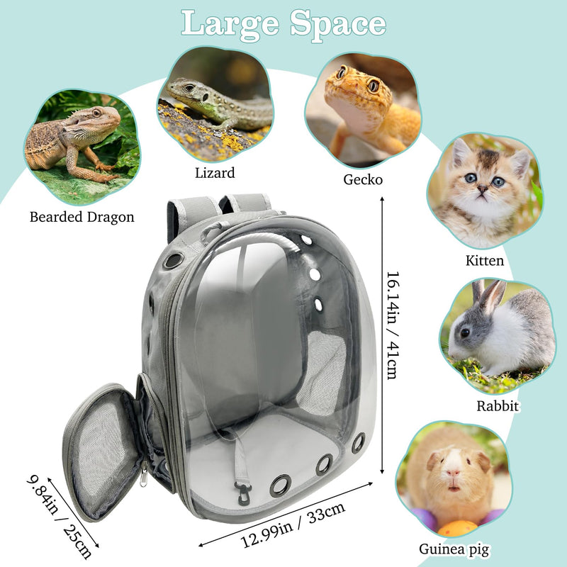 PINVNBY Bearded Dragon Carrier Backpack with Harness and Leash Set Large Reptile Travel Carrier Portable Lizard Backpack Clear Bubble Window Small Animal Carrying Bag for Gecko Kitten Rabbit (Gray) Gray - PawsPlanet Australia