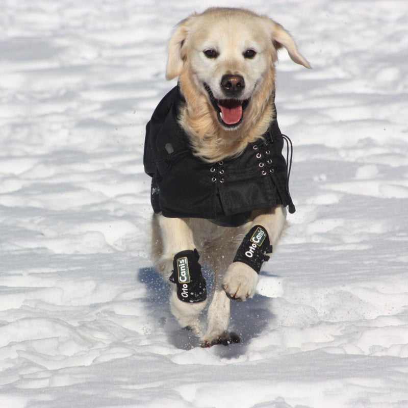 Ortocanis - Dog Leg Brace - Front Leg Brace for Dog - Arthritis, Ligament Injuries, Tendon Injuries or Agility Dogs - Made of Neoprene - Size XXS 5-8 cm