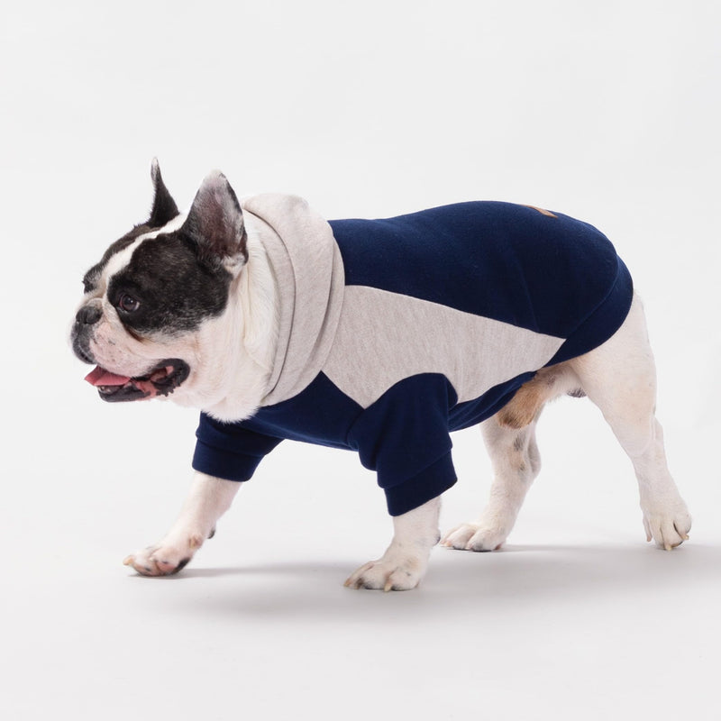 Fitwarm Color Block Dog Hoodie Sweater, Winter Clothes for Small Dogs Boy Girl, Lightweight Pet Sweatshirt, Midnight Blue, Beige, XL X-Large - PawsPlanet Australia