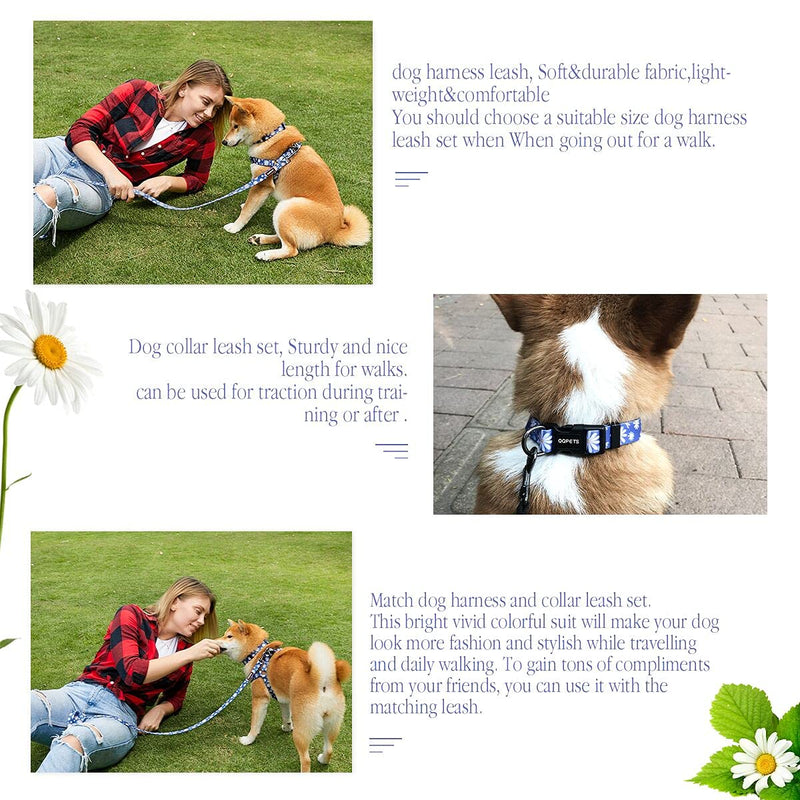 QQPETS Dog Harness Collar Leash - No Pull Pet Adjustable Back Clip Halter Basic Collar Heavy Duty 5FT Anti-Twist Leash for Extra Small Puppy Medium Large Breed Training Easy Walk Running Daisy S - PawsPlanet Australia