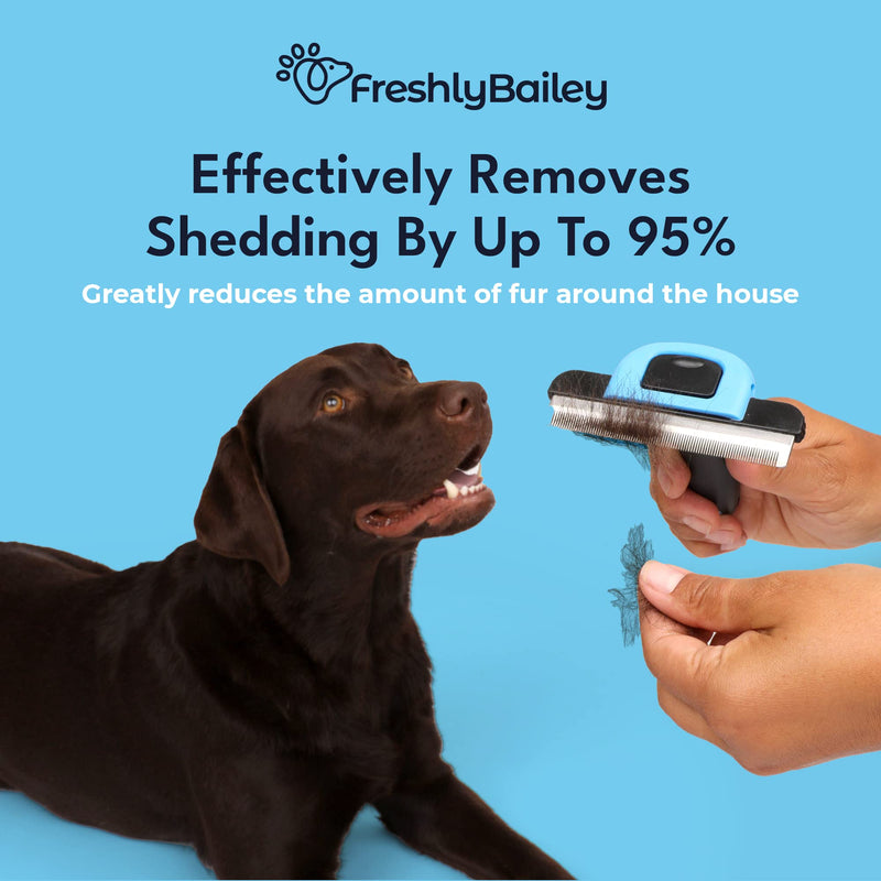 Dematting and Deshedding Grooming Tools For Short, Medium, and Long Haired Pets - PawsPlanet Australia