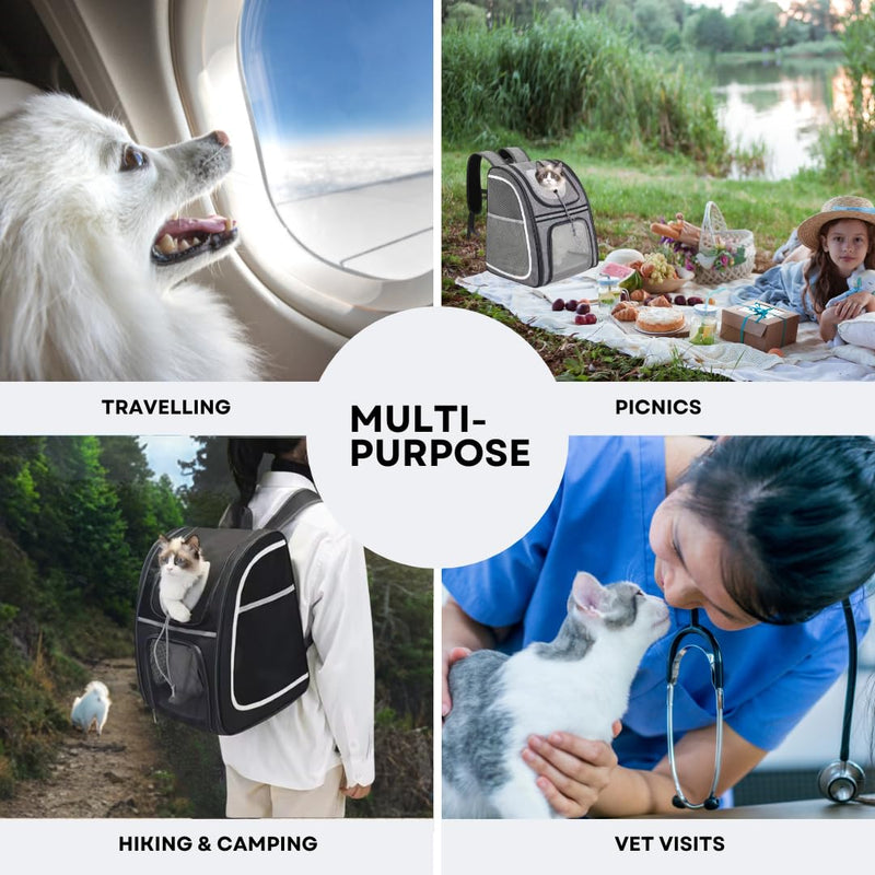 Portable Pet Carrier Backpack for Cats, Dogs and Small Animals Up to 20lbs l Ventilated Mesh Design That's Foldable and Airline-Approved l Ideal for Travel, Hiking, Camping, Vet (Grey) Grey - PawsPlanet Australia